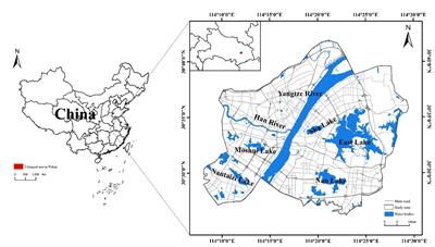 Regulation of water bodies to urban thermal environment: Evidence from Wuhan, China